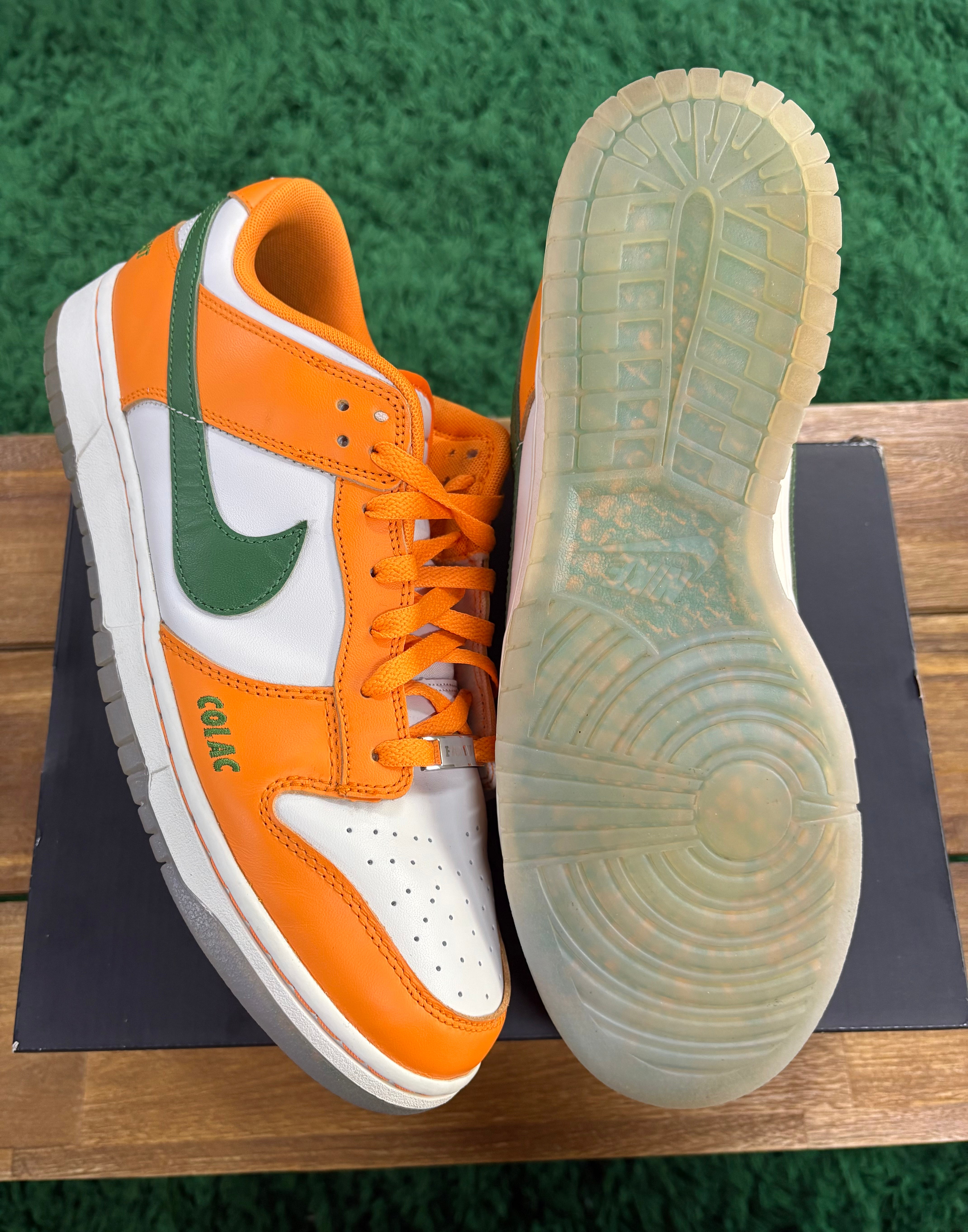 Florida A&M University x Dunk Low Rattlers