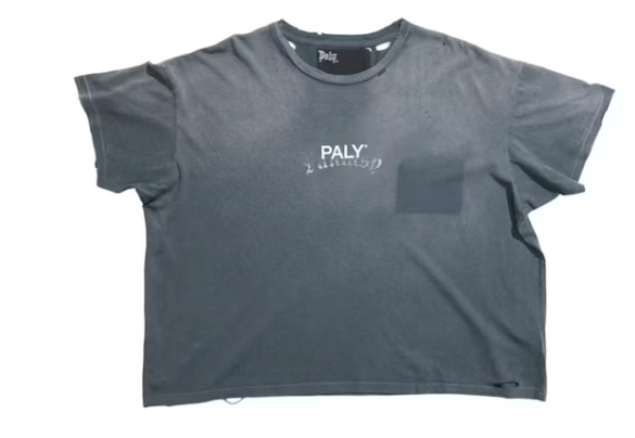 Paly Hollywood Core Logo Tee Washed Blue