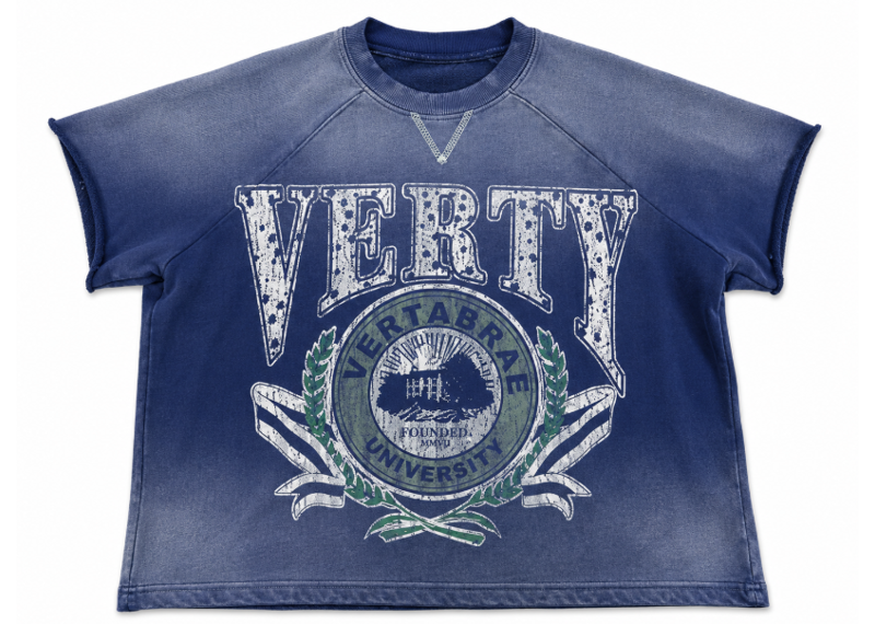 Vertabrae Verty University Crewneck Tee Blue